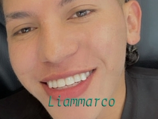 liammarco Gay Home Pictures