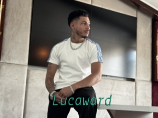 lucaward Gay Home Pictures