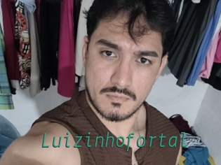 luizinhofortal Gay Home Pictures