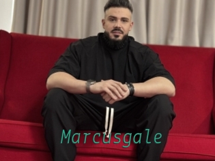 marcusgale Gay Home Pictures