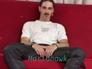 mariohawk Gay Home Pictures