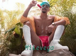 mikevega Gay Home Pictures