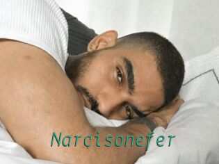 Narcisonefer