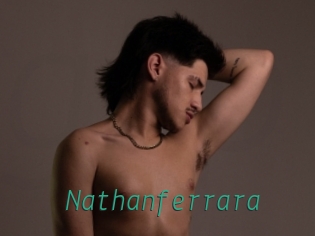 nathanferrara Gay Home Pictures