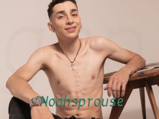 Noahsprouse