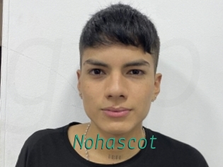 nohascot Gay Home Pictures