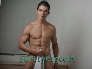 Santtybigcock