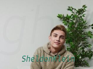 SheldonKlein