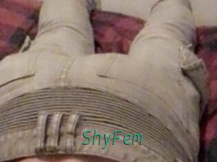 ShyFem