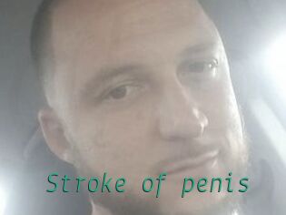Stroke_of_penis