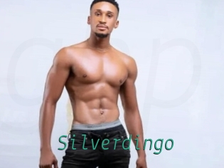 silverdingo Gay Home Pictures