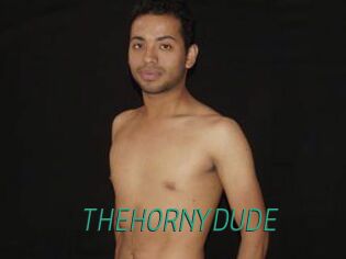 THEHORNYDUDE
