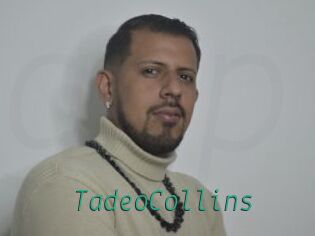 TadeoCollins