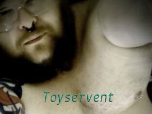 Toyservent