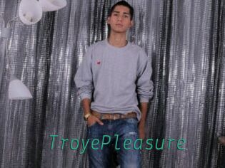 TroyePleasure Gay Home Pictures
