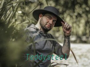 Teddysteel