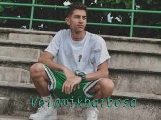 Velamikbarbosa