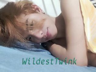 WildestTwink Gay Home Pictures