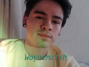 Waynemarsh