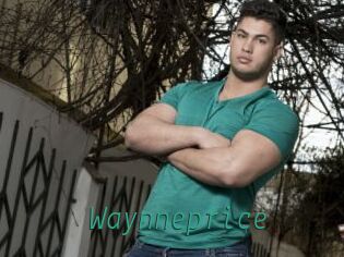 waynneprice Gay Home Pictures