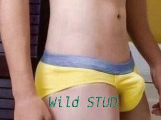 Wild_STUD