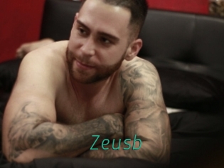 Zeusb